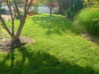 Lawn care service in Hilliard, 43026