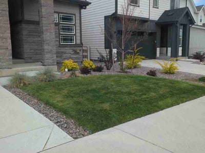 Lawn care service in Littleton, 80125