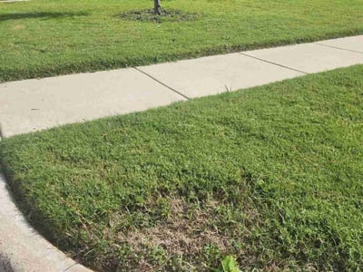Lawn care service in Burleson, 76028