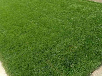 Lawn care service in Beaverton, 97007
