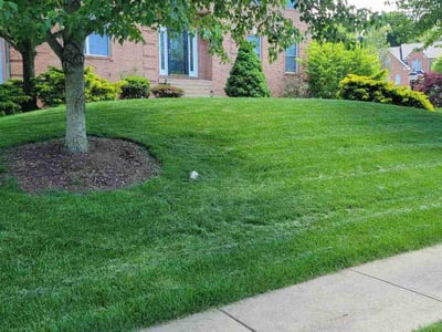 Lawn care service in Pittsburgh, 15237