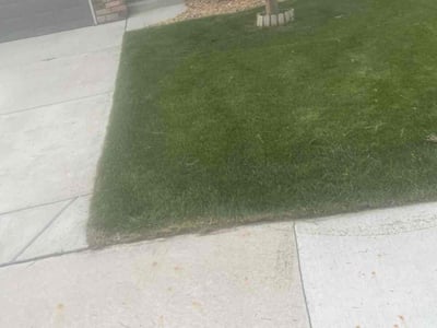 Lawn care service in Windsor, 80550