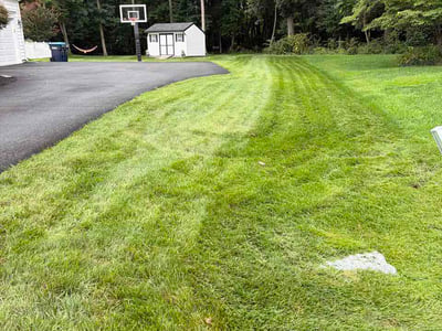 Lawn care service in Middletown, 19709
