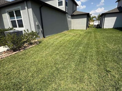 Lawn care service in Wimauma, 33598