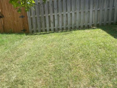 Lawn care service in Springfield, 65803
