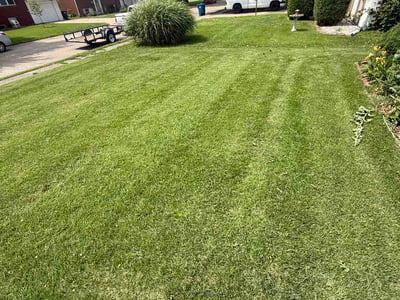 Lawn care service in Granite City, 62040