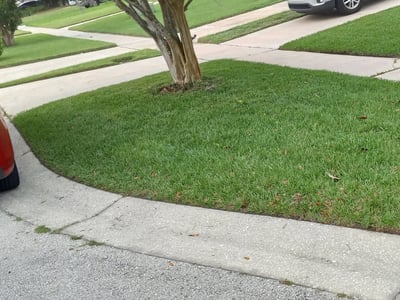 Lawn care service in Winter Park, 32792