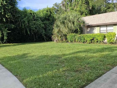 Lawn care service in DeLand, 32724