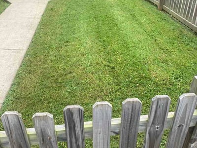 Lawn care service in Birmingham, 35205