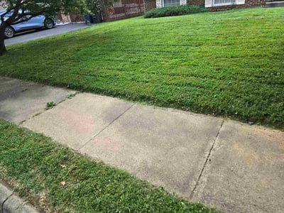 Lawn care service in Vienna, 22181