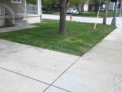 Lawn care service in Omaha, 68110