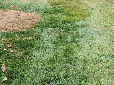 Lawn care service in Toledo, 43614
