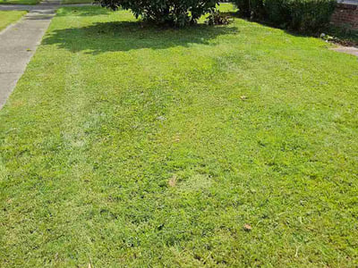 Lawn care service in Louisville, 40214