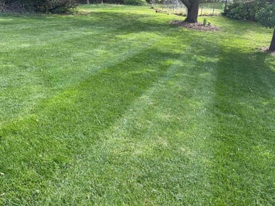 Lawn care service in Kirkwood, 63122
