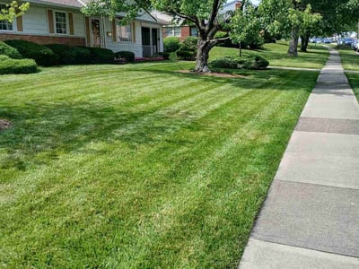 Lawn care service in Cincinnati, 45246