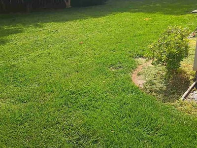 Lawn care service in Greenville, 29607
