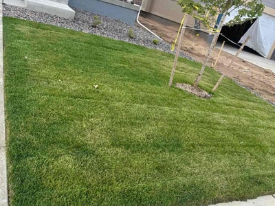 Lawn care service in Commerce City, 80022