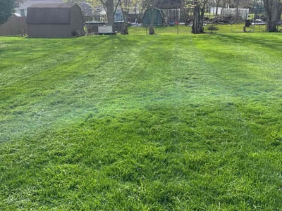 Lawn care service in Tallmadge, 44278