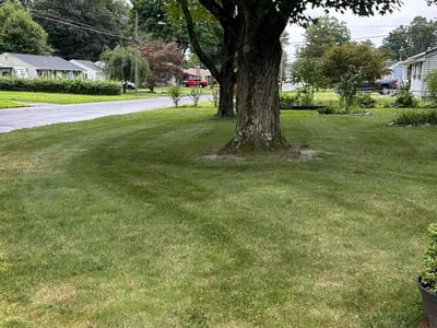 Lawn care service in Windsor Locks, 06096