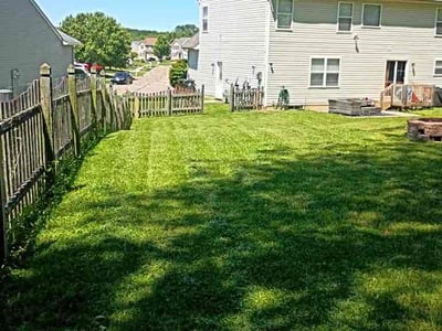 Lawn care service in Dayton, 45424