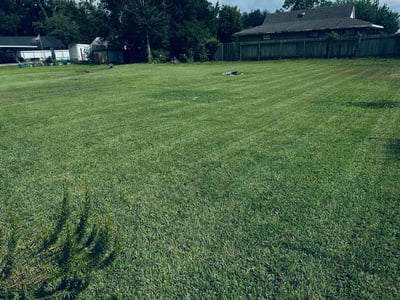 Lawn care service in Thibodaux, 70301