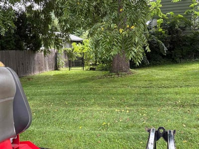 Lawn care service in Madison, 53711