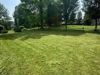 Lawn care service in Columbus, 43230