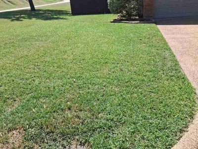 Lawn care service in Rockwall, 75032