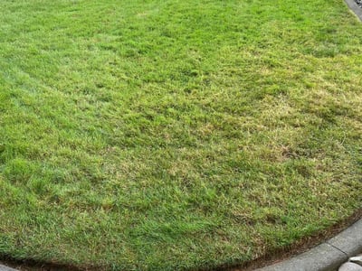 Lawn care service in Vancouver, 98683