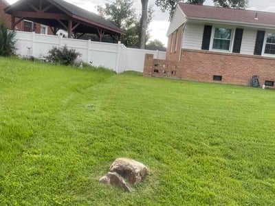 Lawn care service in Colonial Heights, 23834