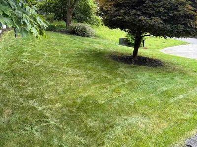 Lawn care service in Cranberry Township, 16066