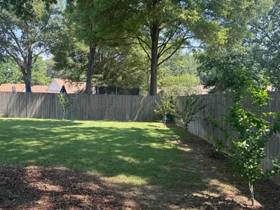 Lawn care service in Collierville, 38017