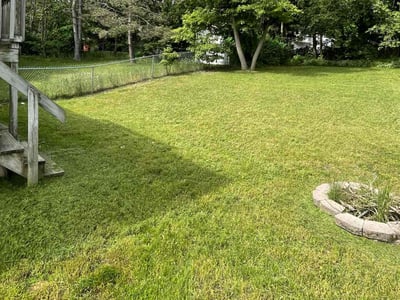 Lawn care service in Rockford, 49341