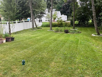 Lawn care service in Clawson, 48017
