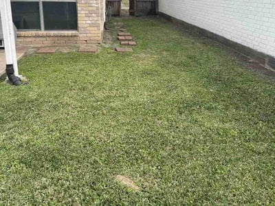 Lawn care service in Stafford, 77477