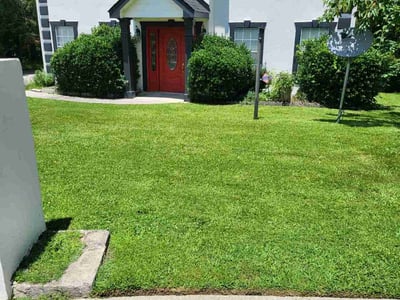 Lawn care service in Stonecrest, 30038