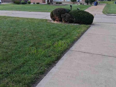 Lawn care service in Florissant, 63033
