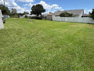 Lawn care service in Lakeland, 33811