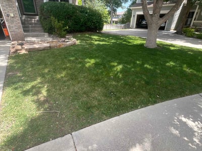 Lawn care service in Parker, 80134