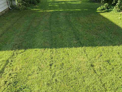 Lawn care service in Decatur, 62521