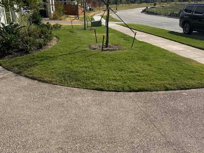 Lawn care service in Rockwall, 75032