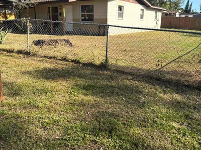 Lawn care service in Tampa, 33604