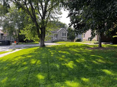 Lawn care service in Kansas City, 64155