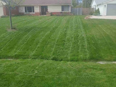 Lawn care service in Fox Point, 53217