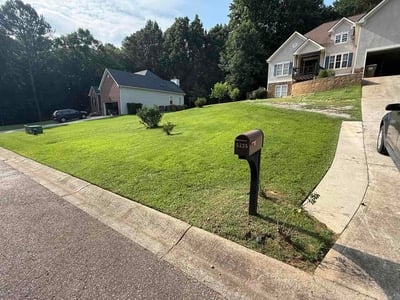 Lawn care service in Flowery Branch, 30542