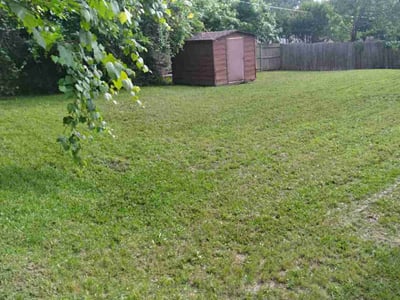 Lawn care service in Fort Worth, 76112
