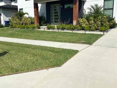 Lawn care service in Tampa, 33607