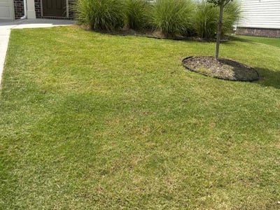 Lawn care service in Euharlee, 30120