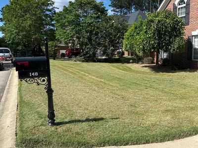 Lawn care service in Leesville, 29070