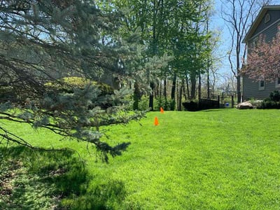Lawn care service in Columbus, 43235